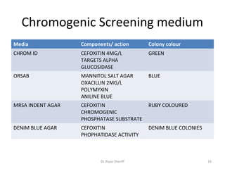 MRSA | PPT