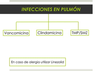 INFECCIONES EN PULMÓN
TMP/SMZClindamicinaVancomicina
En caso de alergia utilizar Linezolid
 