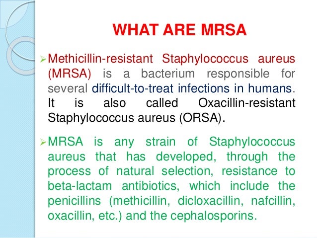 Mrsa And Natural Selection Mrsa And Natural Selection