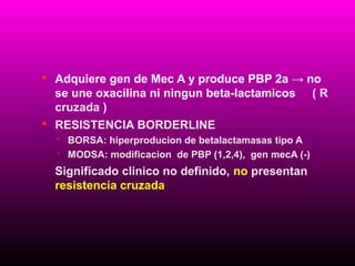  Adquiere gen de Mec A y produce PBP 2a → no

se une oxacilina ni ningun beta-lactamicos
cruzada )
 RESISTENCIA BORDERLINE
 BORSA: hiperproducion de betalactamasas tipo A
 MODSA: modificacion de PBP (1,2,4), gen mecA (-)

Significado clinico no definido, no presentan
resistencia cruzada

(R

 