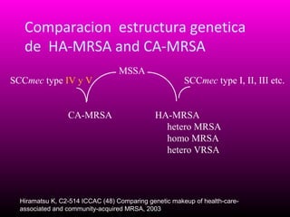 Comparacion estructura genetica
de HA-MRSA and CA-MRSA
SCCmec type IV y V
CA-MRSA

MSSA

SCCmec type I, II, III etc.
HA-MRSA
hetero MRSA
homo MRSA
hetero VRSA

Hiramatsu K, C2-514 ICCAC (48) Comparing genetic makeup of health-careassociated and community-acquired MRSA, 2003

 