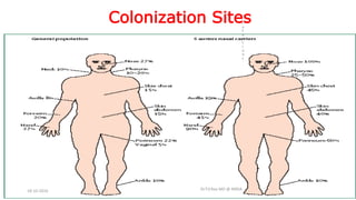 Colonization Sites
Dr.T.V.Rao MD @ MRSA
I
n
f
e
c
t
i
o
n
s
18-10-2016
 