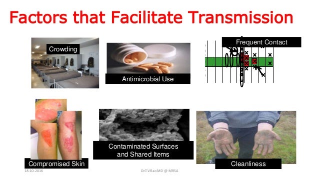 MRSA INFECTIONSvbasics, implications, and prevention