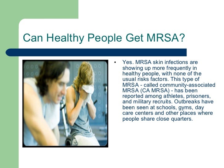 can dogs get mrsa mrsa ppt can dogs get mrsa mrsa ppt