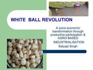 WHITE BALL REVOLUTION
                 A socio economic
              transformation through
             productive participation &
                  AGRO BASED
               INDUSTRIALISATION
                   Satyajit Singh
 