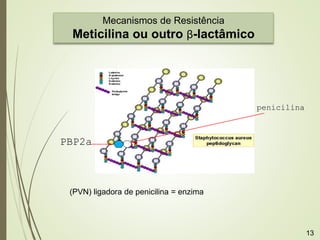 penicilina
PBP2a
(PVN) ligadora de penicilina = enzima
Mecanismos de Resistência
Meticilina ou outro β-lactâmico
13
 