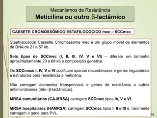 Mecanismos de Resistência
Meticilina ou outro β-lactâmico
CASSETE CROMOSSÔMICO ESTAFILOCÓCICO mec – SCCmec
Staphylococcal Cassette Chromossome mec é um grupo móvel de elementos
de DNA de 21 a 67 kb.
Seis tipos de SCCmec (I, II, III, IV, V e VI) – diferem em tamanho
aproximadamente 20 a 68 kb e composição genética.
Os SCCmecs I, IV, V e VI codificam apenas recombinases e genes regulatórios
e estruturais para resistência a meticilina.
Não carregam elementos transponíveis e genes de resistência a outros
antimicrobianos (não- β-lactâmicos).
MRSA comunitários (CA-MRSA) carregam SCCmec tipos IV, V e VI.
MRSA hospitalares (HAMRSA) carregam SCCmec tipos I, II e III e, raramente
carregam o gene para PVL. 14
 