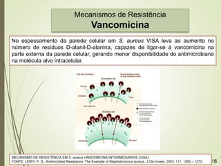 Mecanismos de Resistência
Vancomicina
No espessamento da parede celular em S. aureus VISA leva ao aumento no
número de resíduos D-alanil-D-alanina, capazes de ligar-se à vancomicina na
parte externa da parede celular, gerando menor disponibilidade do antimicrobiano
na molécula alvo intracelular.
MECANISMO DE RESISTÊNCIA EM S. aureus VANCOMICINA INTERMEDIÁRIOS (VISA)
FONTE: LOWY, F. D., Antimicrobial Resistance: The Example of Staphylococcus aureus. J Clin Invest, 2003, 111: 1265 – 1273. 18
 