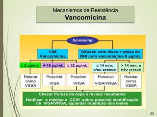Mecanismos de Resistência
Vancomicina
Screening
Detecção de VISA/VRSA
CIM
Vancomicina
Possível
VRSA
Possível
VISA
Relatar
como
VSSA
 2 μg/mL 4-16 μg/mL  32 μg/mL
Difusão com disco + placa de
BHI com vancomicina 6 μg/mL
 14 mm,
e/ou cresce
> 14 mm, e
não cresce
Possível
VISA/VRSA
Relatar
como
VSSA
Checar Pureza da cepa e revisar resultados
Notificar o médico e CCIH sobre possível identificação
de VISA/VRSA, aguardar repetição dos testes
22
 