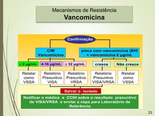Mecanismos de Resistência
Vancomicina
Confirmação
Detecção de VISA/VRSA
CIM
Vancomicina
Relatório
Presuntivo
VRSA
Relatório
Presuntivo
VISA
Relatar
como
VSSA
 2 μg/mL 4-16 μg/mL  32 μg/mL
placa com vancomicina (BHI
+ vancomicina 6 μg/mL
cresce Não cresce
Relatório
Presuntivo
VISA/VRSA
Relatar
como
VSSA
Notificar o médico e CCIH sobre o resultado presuntivo
de VISA/VRSA e enviar a cepa para Laboratório de
Referência
Salvar o isolado
23
 