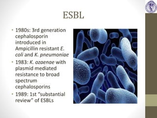 Specific Multi-drug Resistance MRSA-VRSA-ESBL-KPC | PPTX