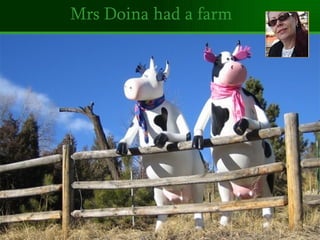 Mrs Doina had a farm 