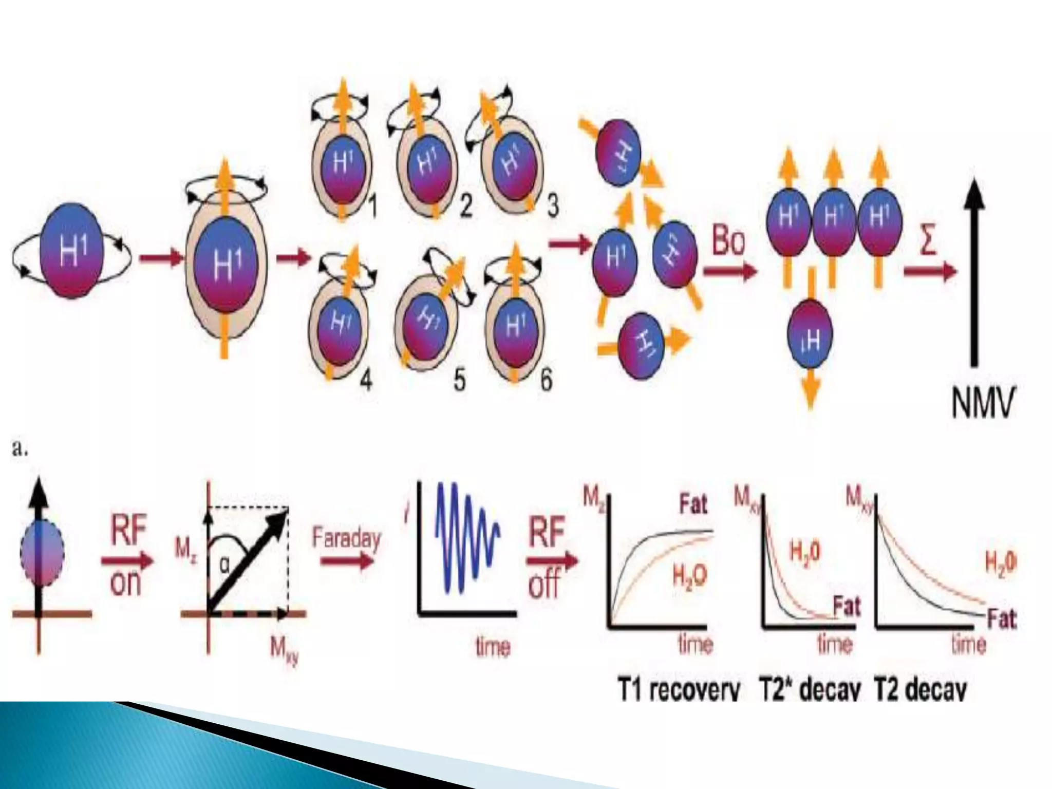 BASIC MRI SEQUENCES PPTX