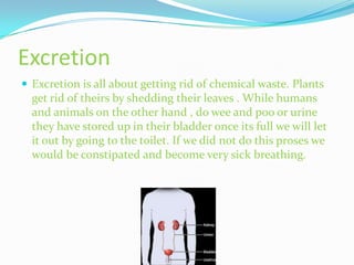 Excretion
 Excretion is all about getting rid of chemical waste. Plants
  get rid of theirs by shedding their leaves . While humans
  and animals on the other hand , do wee and poo or urine
  they have stored up in their bladder once its full we will let
  it out by going to the toilet. If we did not do this proses we
  would be constipated and become very sick breathing.
 