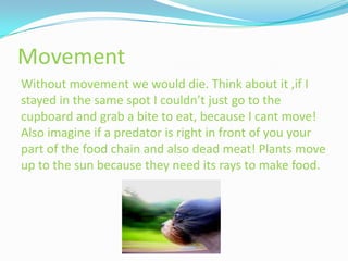 Movement
Without movement we would die. Think about it ,if I
stayed in the same spot I couldn’t just go to the
cupboard and grab a bite to eat, because I cant move!
Also imagine if a predator is right in front of you your
part of the food chain and also dead meat! Plants move
up to the sun because they need its rays to make food.
 