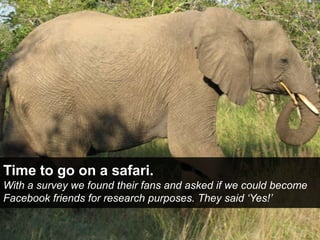 Time to go on a safari.With a survey we foundtheir fans and askedif we couldbecome Facebook friendsfor research purposes. ...