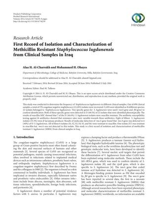 Research Article
First Record of Isolation and Characterization of
Methicillin Resistant Staphylococcus lugdunensis
from Clinical Samples in Iraq
Alaa H. Al-Charrakh and Mohammed H. Obayes
Department of Microbiology, College of Medicine, Babylon University, Hilla, Babylon Governorate, Iraq
Correspondence should be addressed to Alaa H. Al-Charrakh; ahani67@gmail.com
Received 7 February 2014; Revised 28 June 2014; Accepted 28 June 2014; Published 13 July 2014
Academic Editor: Paul M. Tulkens
Copyright © 2014 A. H. Al-Charrakh and M. H. Obayes. This is an open access article distributed under the Creative Commons
Attribution License, which permits unrestricted use, distribution, and reproduction in any medium, provided the original work is
properly cited.
This study was conducted to determine the frequency of Staphylococcus lugdunensis in different clinical samples. Out of 690 clinical
samples, a total of 178 coagulase negative staphylococci (CoNS) isolates were recovered. CoNS were identified as 10 different species;
22 isolates belonged to Staphylococcus lugdunensis. Two specific genes for S. lugdunensis were used ( tanA gene and fbl gene) to
confirm identification. Both of these specific genes were detected in 15 (68.1%) of 22 isolates that were identified phenotypically. The
results of oxacillin MIC showed that 7 of the 15 (46.6%) S. lugdunensis isolates were oxacillin resistant. The antibiotic susceptibility
testing against 16 antibiotics showed that resistance rates were variable towards these antibiotics. Eight of fifteen S. lugdunensis
isolates (53.3%) were 𝛽-lactamase producer. Results of molecular detection of mecA gene found that mecA gene was detected in 6
(40%) of 15 S. lugdunensis. All of these 6 isolates (S1, S2, S3, S4, S5, and S6) were resistant to oxacillin. One isolate (S7) was resistant
to oxacillin but mecA was not detected in this isolate. This study is a first record of isolation and characterization of methicillin
resistant S. lugdunensis (MRSL) from clinical samples in Iraq.
1. Introduction
The coagulase-negative staphylococci (CoNS) is a large
group of Gram-positive bacteria most often found coloniz-
ing the skin and mucosal surfaces of humans and other
mammals [1]. Several species of CoNS are recognized as
potential pathogens, mainly causing nosocomial infections,
often involved in infections related to implanted medical
devices such as intravenous catheters, prosthetic heart valves,
and orthopedic implants. Staphylococcus lugdunensis is a
coagulase-negative staphylococci first described by Freney
and his colleagues in 1988 [2]. The organism is found as a skin
commensal in healthy individuals. S. lugdunensis has been
implicated in invasive diseases, especially fulminant native
and prosthetic-valve endocarditis [3]. Other invasive infec-
tions include brain abscess, meningitis, skin abscesses, soft
tissue infections, spondylodiscitis, foreign body infections,
and peritonitis [4].
S. lugdunensis shares a number of potential virulence
factors with S. aureus. In particular, S. lugdunensis may
express a clumping factor and produce a thermostable DNase
[5]. S. lugdunensis produces a tannase (tannin acyl hydro-
lase) that degrades hydrolysable tannins [6]. The phenotypic
biological tests, such as the ornithine decarboxylase test and
genotypic molecular tests, have been developed to identify
these bacteria [7]. Several nucleic acid targets that permit
the differentiation of S. lugdunensis from other CoNS have
been exploited using molecular methods. These include the
16S rRNA gene, which was used to confirm identity of S.
lugdunensis isolate [8], and the rpoB gene, which is also
specific to S. lugdunensis [4]. The tanA gene that coded
tannase acyl hydrolase was detected in S. lugdunensis [6].
A fibrinogen-binding protein known as Fbl that encoded
by fbl gen is specific to S. lugdunensis [9]. The mecA gene
has been reported in several data, the first in a neonate
[10] with methicillin resistant S. lugdunensis (MRSL) that
produces an alternative penicillin binding protein (PBP2A).
Although several researchers have been reported phenotypic
and molecular characterizations of methicillin resistant S.
lugdunensis (MRSL) worldwide, no information are available
Hindawi Publishing Corporation
BioMed Research International
Volume 2014,Article ID 736259, 8 pages
http://dx.doi.org/10.1155/2014/736259
 