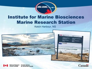 Institute for Marine Biosciences
    Marine Research Station
           Ketch Harbour, NS
 