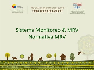 Sistema Monitoreo & MRV
Normativa MRV
 
