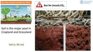 MRV of soil organic carbon: Where are we and what is missing? | SOC in NDC webinar 2020