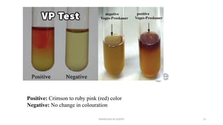 Methyl Red (MR) and Voges-Proskauer (VP) Test | PDF | Chemistry | Science