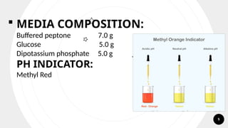MRVP test Biochemical Test presentation ppt.pptx