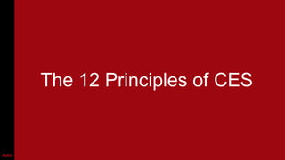 The 12 Principles of CES

 