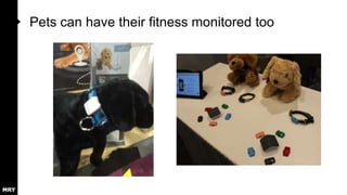 Pets can have their fitness monitored too

 