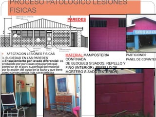 PROCESO PATOLOGICO LESIONES
FISICAS
 AFECTACION LESIONES FISICAS
3. SUCIEDAD EN LAS PAREDES
a.Ensuciamiento por lavado diferencial: es
producido por partículas ensuciantes que
penetran en el poro superficial del material
por la acción del agua de la lluvia y que tiene
como consecuencia más característica
churretones.
MATERIAL:MAMPOSTERIA
CONFINADA
DE BLOQUES SISADOS, REPELLO Y
FINO (INTERIOR), REPELLO DE
MORTERO SISADO (EXTERIOR)
PAREDES
PARTICIONES
PANEL DE COVINTEC
 