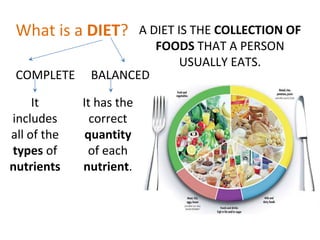Blog nutrition i | PPTX