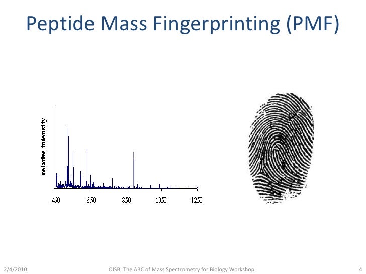 Mass Spectrometry: Protein Identification Strategies