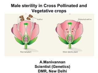Male sterility in Cross Pollinated and
Vegetative crops
A.Manivannan
Scientist (Genetics)
DMR, New Delhi
 