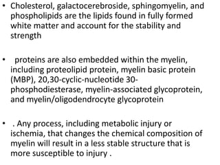• Cholesterol, galactocerebroside, sphingomyelin, and
phospholipids are the lipids found in fully formed
white matter and account for the stability and
strength
• proteins are also embedded within the myelin,
including proteolipid protein, myelin basic protein
(MBP), 20,30-cyclic-nucleotide 30-
phosphodiesterase, myelin-associated glycoprotein,
and myelin/oligodendrocyte glycoprotein
• . Any process, including metabolic injury or
ischemia, that changes the chemical composition of
myelin will result in a less stable structure that is
more susceptible to injury .
 