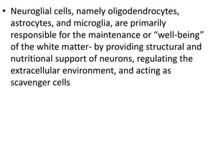 • Neuroglial cells, namely oligodendrocytes,
astrocytes, and microglia, are primarily
responsible for the maintenance or “well-being”
of the white matter- by providing structural and
nutritional support of neurons, regulating the
extracellular environment, and acting as
scavenger cells
 