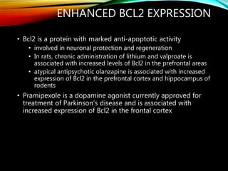 ENHANCED BCL2 EXPRESSION
• Bcl2 is a protein with marked anti-apoptotic activity
• involved in neuronal protection and regeneration
• In rats, chronic administration of lithium and valproate is
associated with increased levels of Bcl2 in the prefrontal areas
• atypical antipsychotic olanzapine is associated with increased
expression of Bcl2 in the prefrontal cortex and hippocampus of
rodents
• Pramipexole is a dopamine agonist currently approved for
treatment of Parkinson’s disease and is associated with
increased expression of Bcl2 in the frontal cortex
 