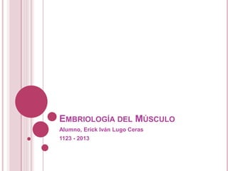 EMBRIOLOGÍA DEL MÚSCULO
Alumno, Erick Iván Lugo Ceras
1123 - 2013
 