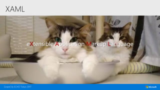 XAML
eXtensible Application Markup Language
 