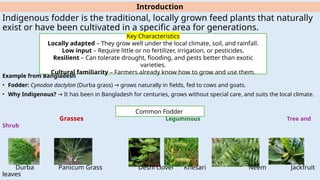Methods to Identify Chemical Inhibitors in Plants to Permit more ...