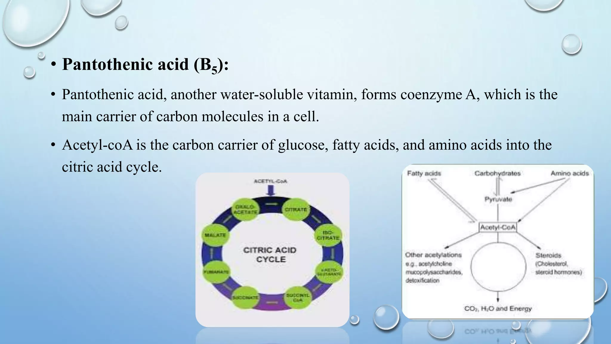 Role of vitamins in metabolism (1) | PPTX