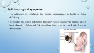 Role of vitamins in metabolism (1) | PPT