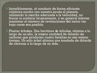 Increíblemente, el conducir de forma eficiente colabora mucho con nuestra ayuda al planeta, utilizando la marcha adecuada a la velocidad, no frenar ni acelerar bruscamente, y en general intentar mantener el número de revoluciones del motor tan bajo como sea posible.  Plantar árboles. Una hectárea de árboles, elimina a lo largo de un año, la misma cantidad de dióxido de carbono que producen cuatro familias en ese mismo tiempo. Un solo árbol elimina una tonelada de dióxido de carbono a lo largo de su vida. 