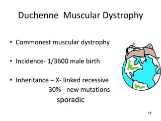 Duchenne Muscular Dystrophy

• Commonest muscular dystrophy

• Incidence- 1/3600 male birth

• Inheritance – X- linked recessive
             30% - new mutations
                sporadic
                                      18
 