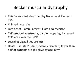 Becker muscular dystrophy
• This Ds was first described by Becker and Klener in
  1955
• X-linked recessive
• Late onset – ambulatory till late adolescence
• Calf pseudohypertrophy, cardiomyopathy, increased
  CPK are similar to DMD
• Learning disabilities are less
• Death – in late 20s but severely disabled; fewer than
  half of patients are still alive by age 40 yr
 