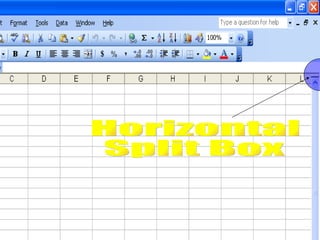 Horizontal Split Box 