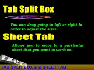 TAB SPLIT BOX and SHEET TAB You can drag going to left or right in order to adjust the sizes  Tab Split Box EXCEL Sheet Tab Allows you to move to a particular sheet that you want to work on. 