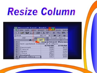 cc cc Resize Column 