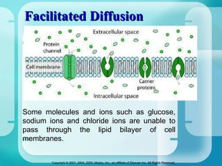 Facilitated Diffusion Some molecules and ions such as glucose, sodium ions and chloride ions are unable to pass through the lipid bilayer of cell membranes. 