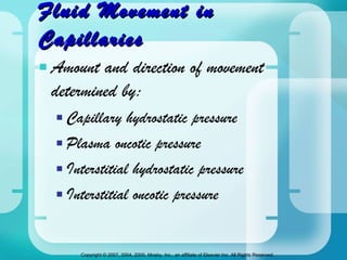 Fluid Movement in Capillaries Amount and direction of movement  determined by: Capillary hydrostatic pressure Plasma oncotic pressure Interstitial hydrostatic pressure Interstitial oncotic pressure 
