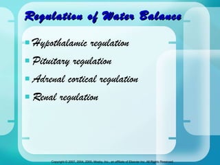 Regulation of Water Balance Hypothalamic regulation Pituitary regulation Adrenal cortical regulation Renal regulation 