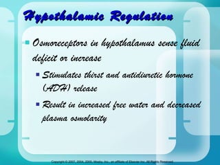 Hypothalamic Regulation Osmoreceptors in hypothalamus sense fluid deficit or increase Stimulates thirst and antidiuretic hormone (ADH) release Result in increased free water and decreased plasma osmolarity 
